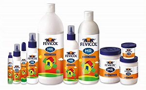 Pidilite Fevicol MR
